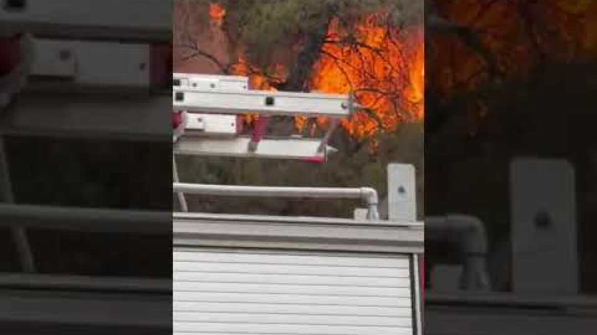 Φωτιά στη Βουρβουρού Χαλκιδικής (2)