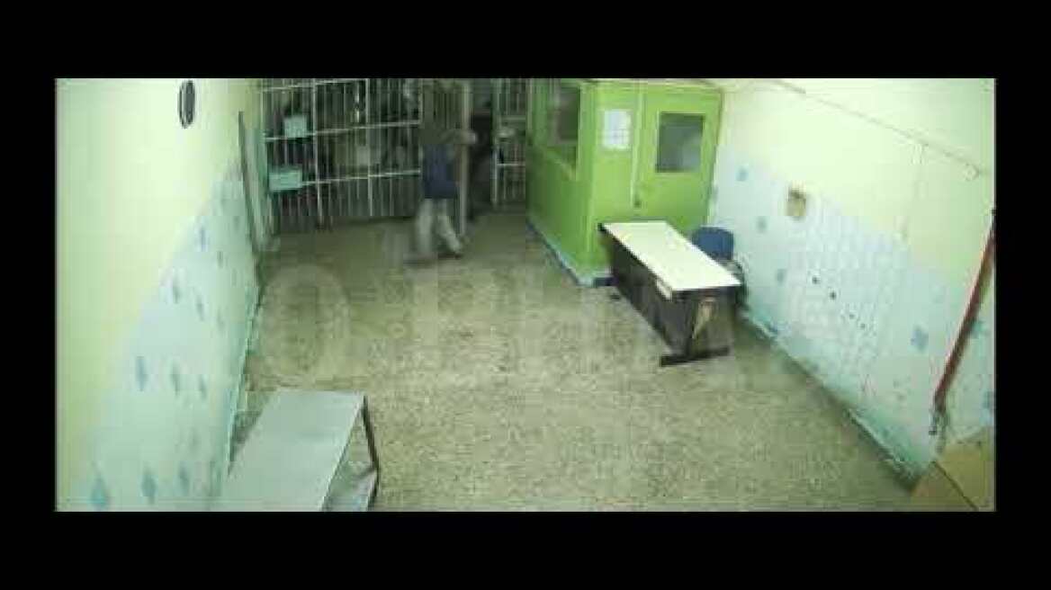 Κορυδαλλός