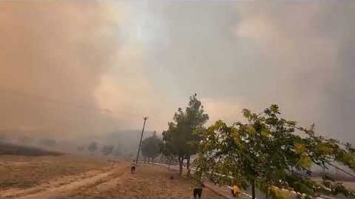 Φωτιά στην περιοχή της Φυλής (1)