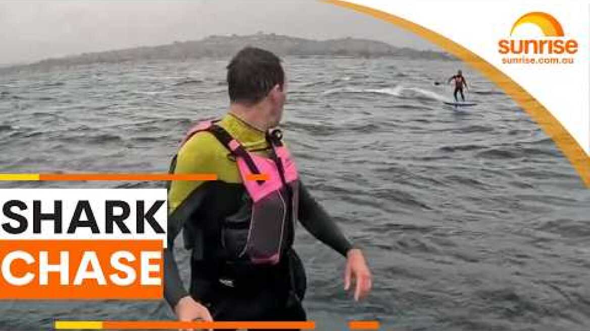 Foil surfer chased by four-metre shark | Sunrise