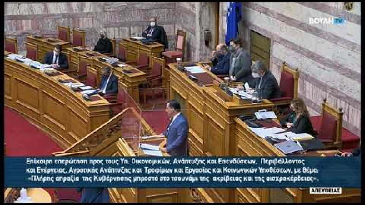 Ο Άδωνις Γεωργιάδης σε επίκαιρη επερώτηση του ΚΙΝΑΛ για την ακρίβεια και την αισχροκέρδεια03.02.2022