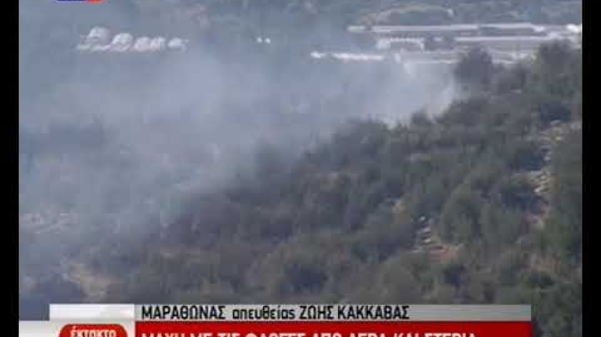 Φωτιά στον Μαραθώνα