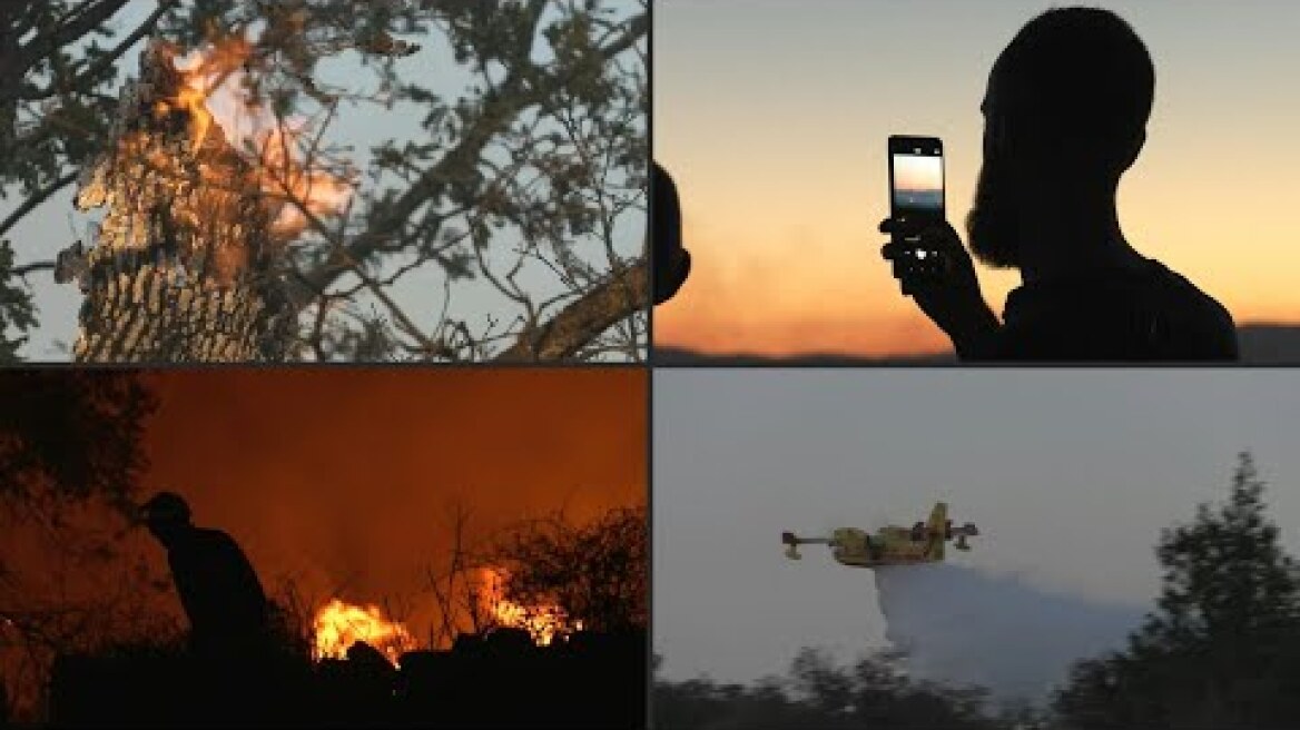 Firefighters make progress on large fire in southern France | AFP