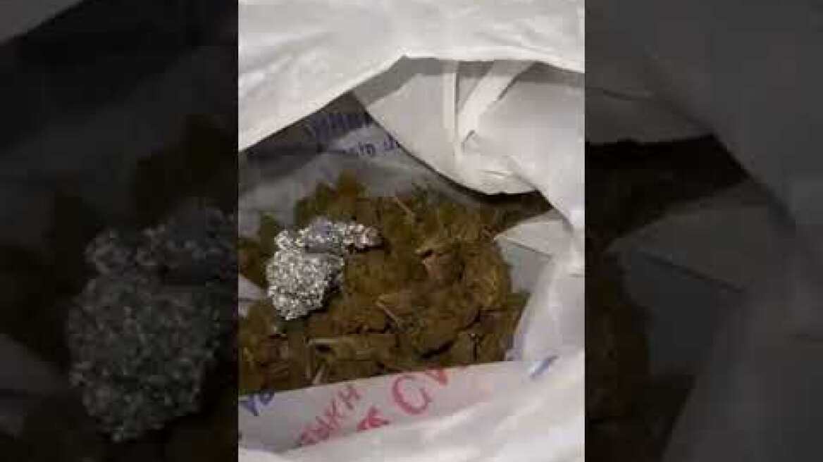 6-3-2026: ΔΤ ΓΑΔΑ