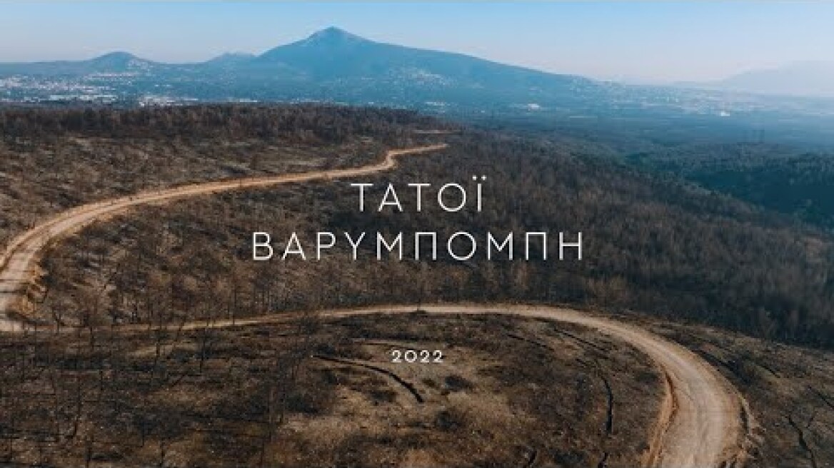 Marmoline - Ανάδοχος Αποκατάστασης Δάσους Βαρυμπόμπης