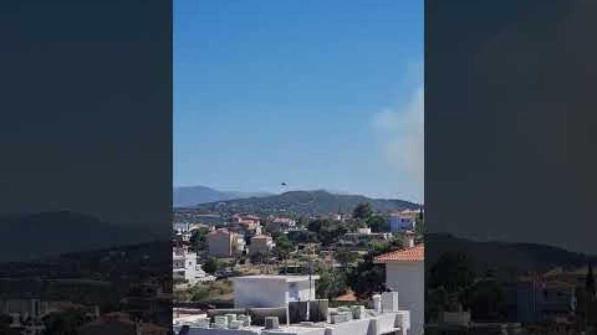 Φωτιά στη Λεωφόρο Μαραθώνος στη Ραφήνα