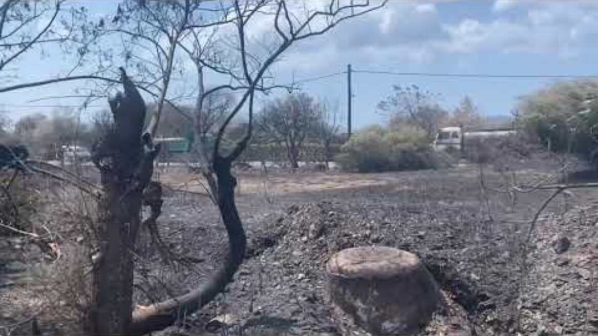 Εύβοια πυρκαγιά οικισμός Κοκκίνη - 2