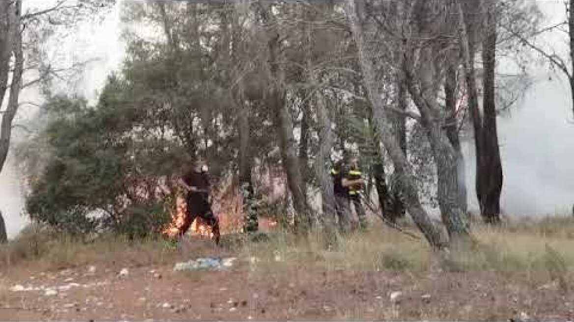 Μεγάλη αναζωπύρωση στην Πάρνηθα