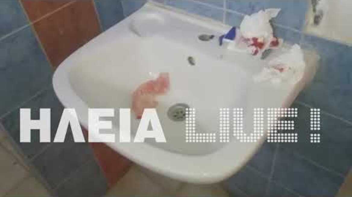 ilialive.gr - Video ντοκουμέντο μέσα από το 1ο ΓΕΛ