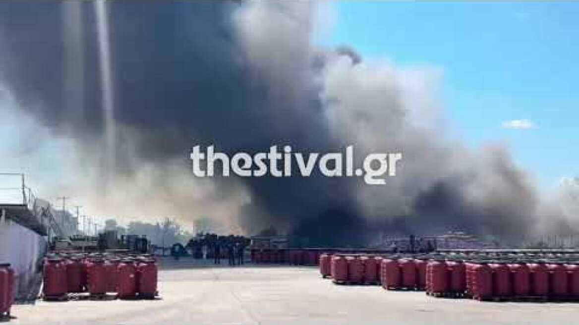 Thestival.gr Φωτιά στο Καλοχώρι