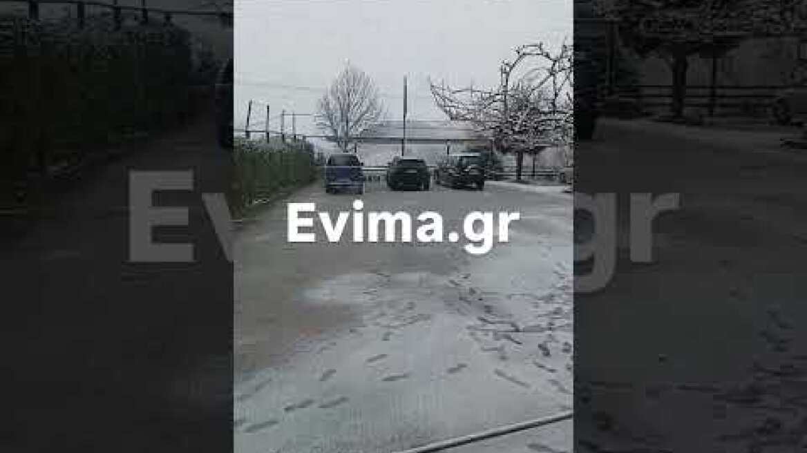 Ντύθηκε στα λευκά η Σέτα Ευβοίας