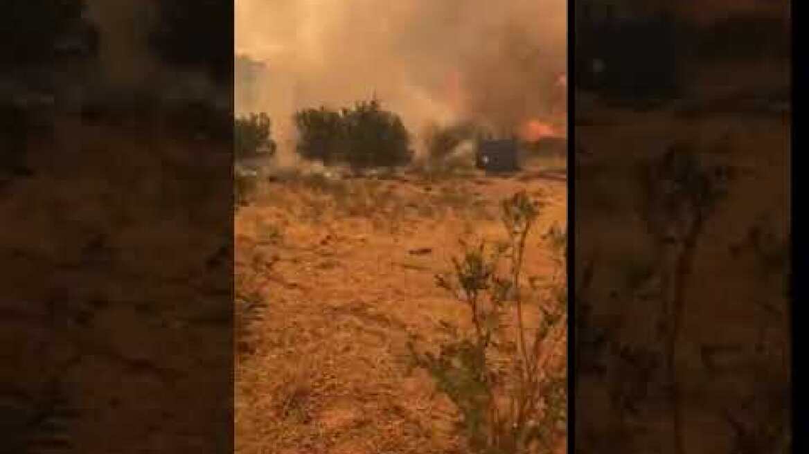 Φωτιά Καλύβια 5