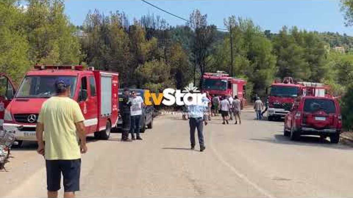 Νέα φωτιά στον Θεολόγο