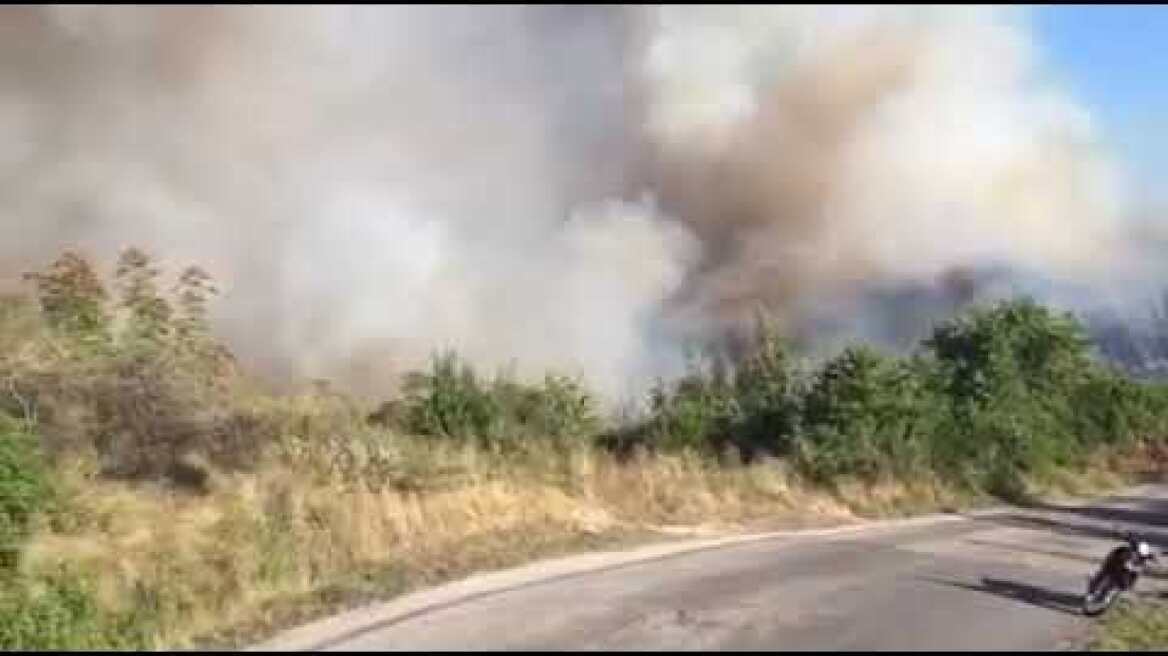 Φωτια Άγιος Στέφανος Ερημίτης