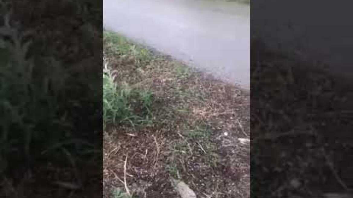 Χαλάζι στην Υπέρεια Φαρσάλων 2