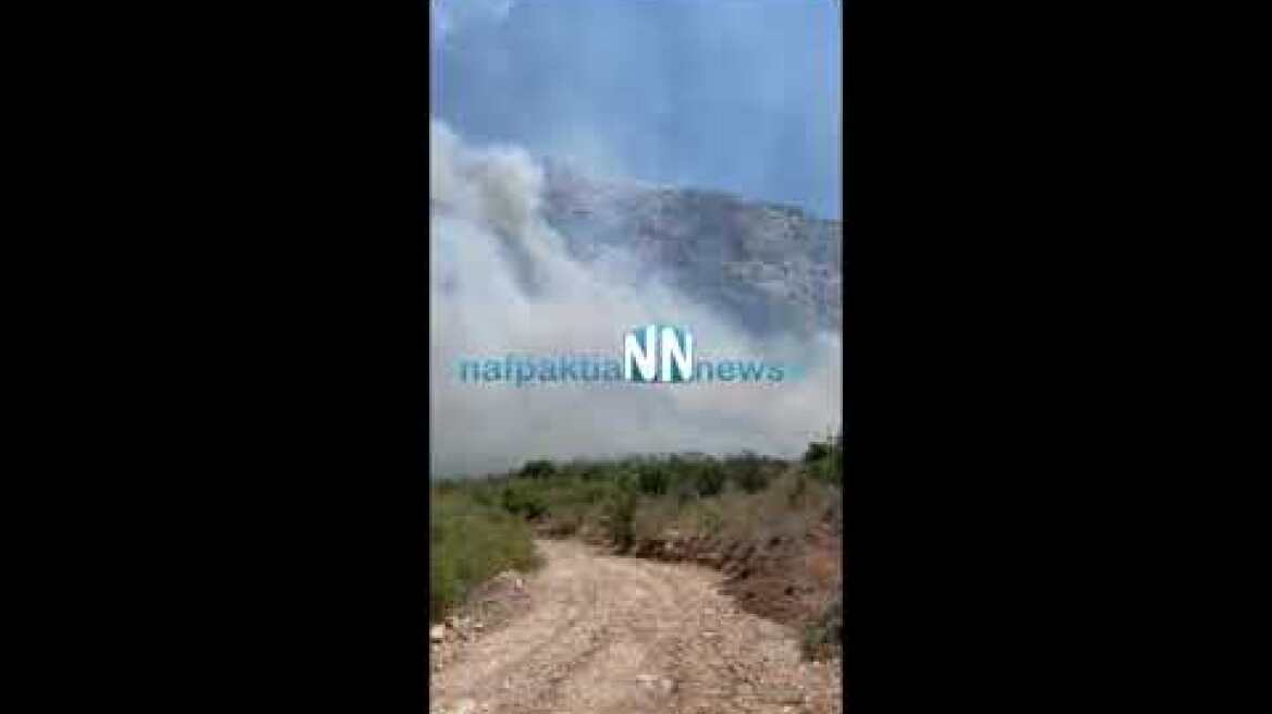 Μεγάλη φωτιά στο Κρυονέρι Ναυπακτίας κοντά σε σπίτια.