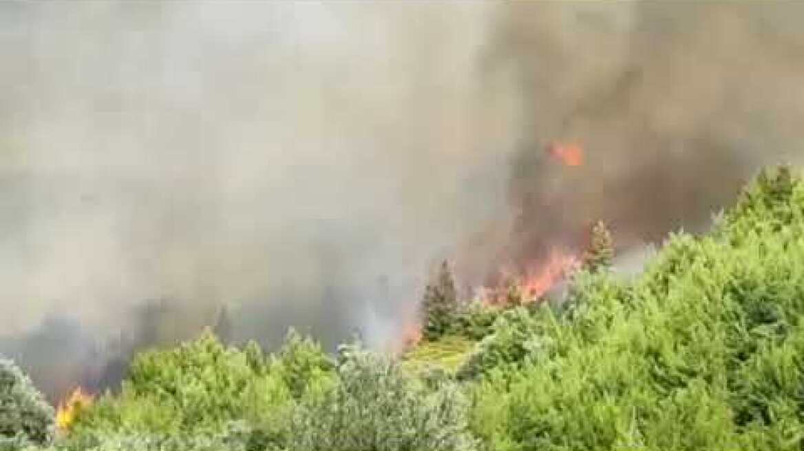 Φωτια στον Κρεμαστό Εύβοιας