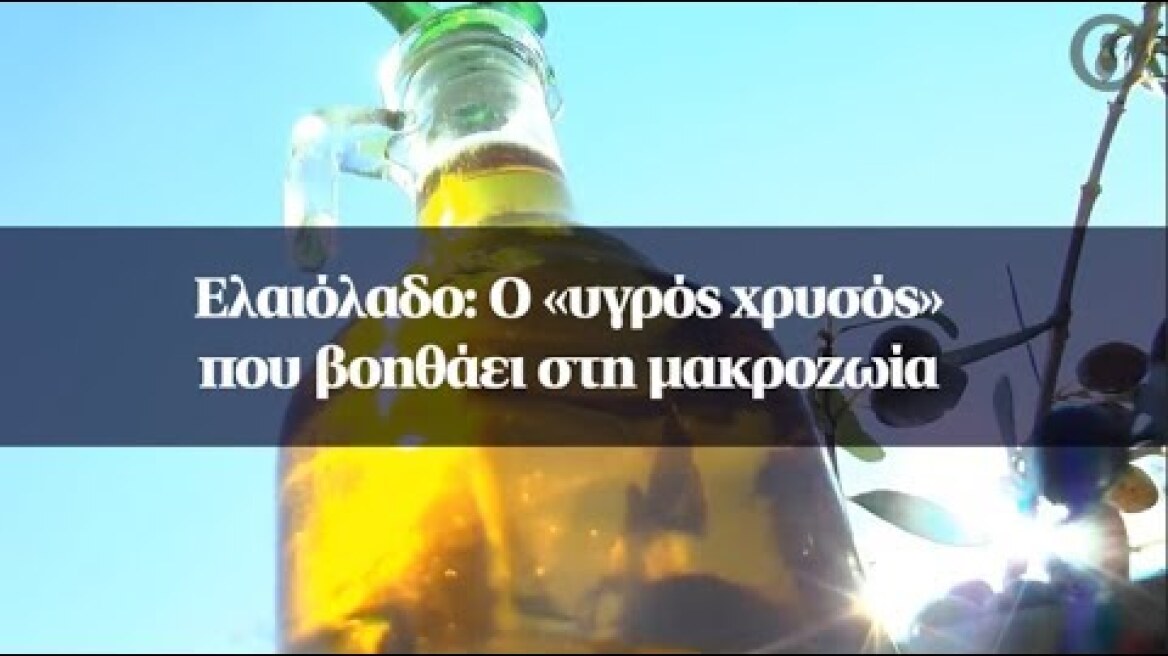 Ελαιόλαδο: Ο «υγρός χρυσός» που βοηθάει στη μακροζωία