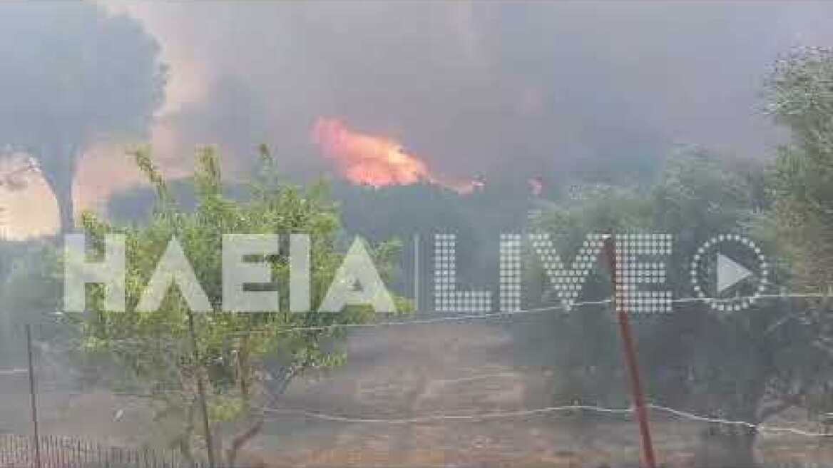 ilialive.gr - Σοβαρή αναζωπύρωση στην πυρκαγιά της Πηνείας