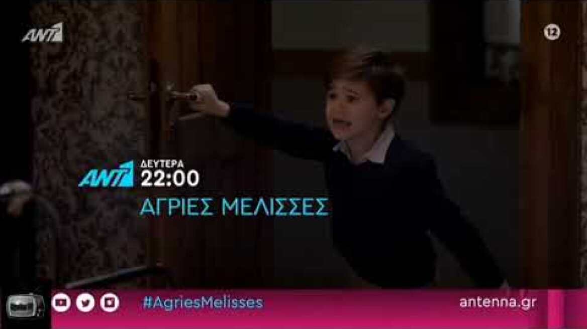 Άγριες Μέλισσες - Δευτέρα 18/1/2021 - TRAILER