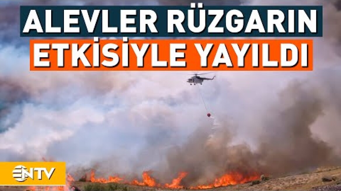 Bolu ve İzmir'de Yangınlarla Mücadele Sürüyor, Göynük'te Şimdiye Kadar 100 Hektar Alan Yandı | NTV