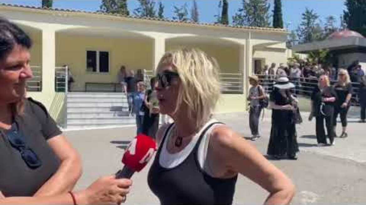 Δήλωση της Αννας Βίσση