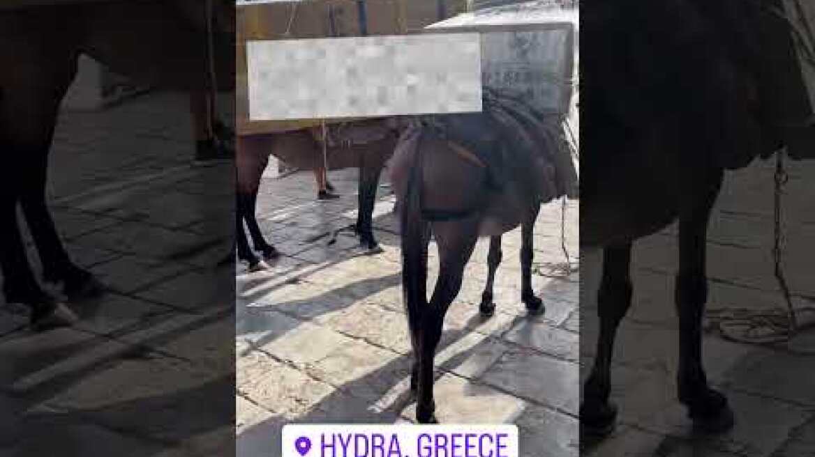 Φορτωμένα γαϊδουράκια στην Ύδρα (2)