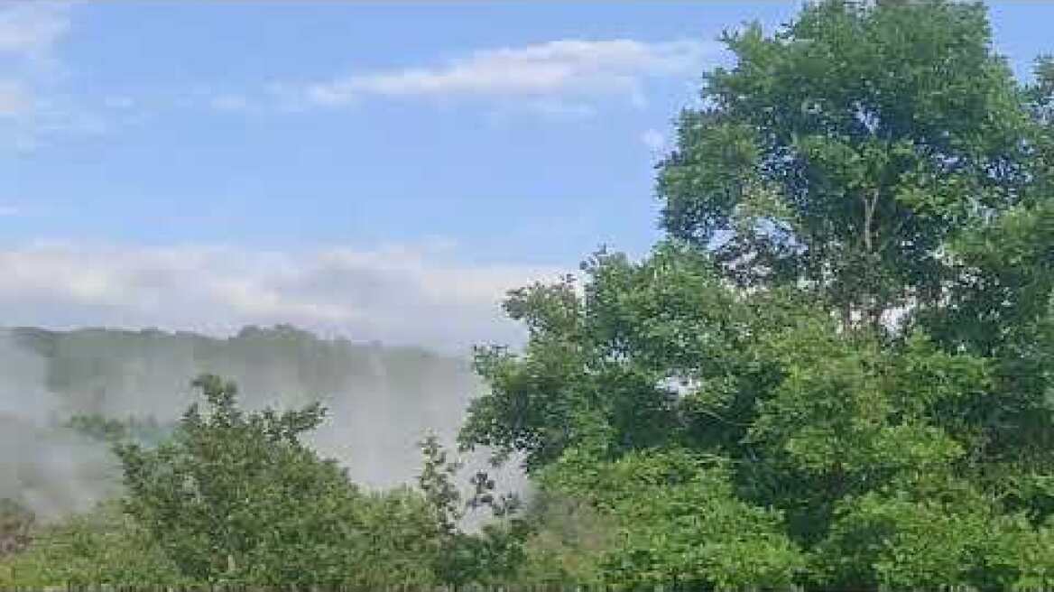 Επιχείρηση κατάσβεσης φωτιάς στον Στανό Χαλκιδικής με ρίψεις από καναντέρ 2