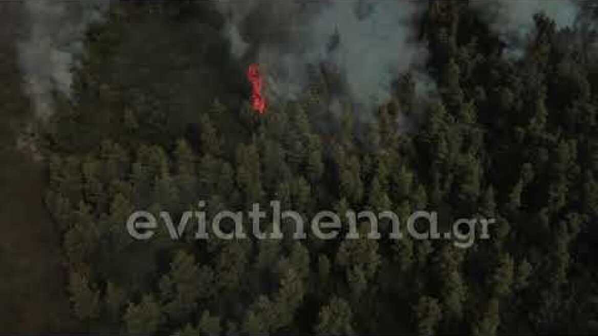 Eviathema.gr - Φωτιά στην Βόρεια Εύβοια