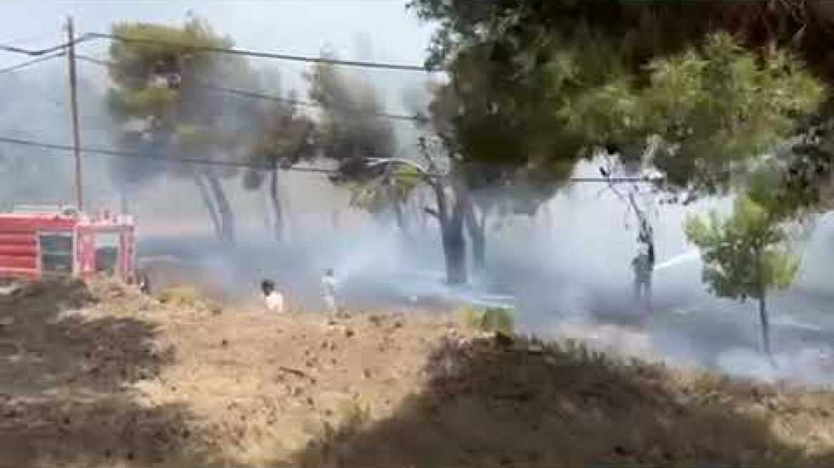 Φωτιά στην Πεντέλη