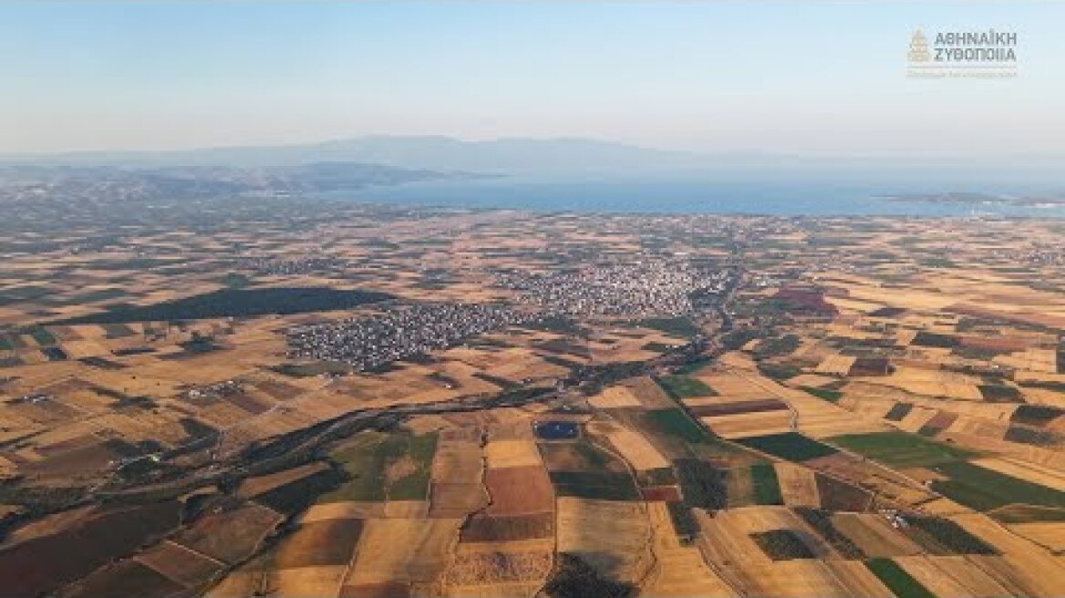 H "Έξυπνη Σπορά" ξεκινά από το χωράφι, δίπλα στους παραγωγούς