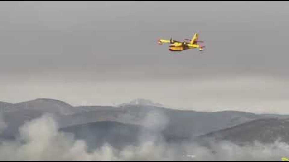 Canadair επιχειρεί στη Μάνδρα (20/7) 2