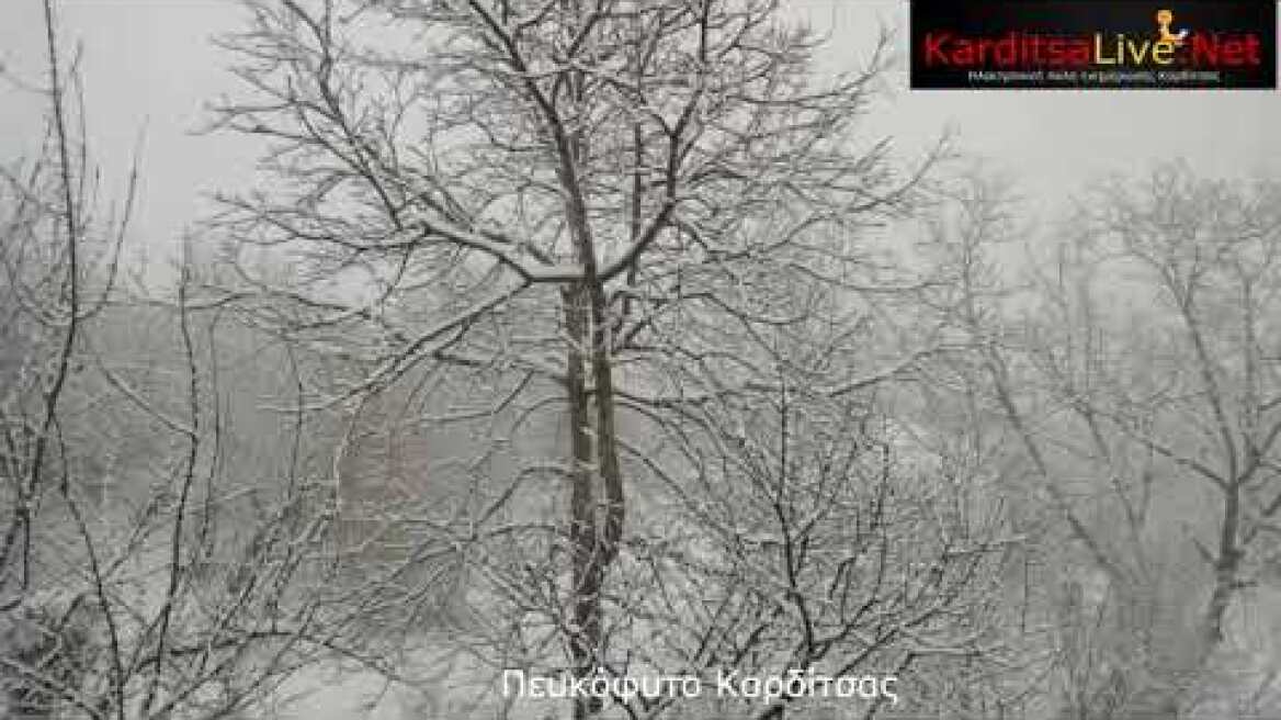 Κακοκαιρία "Μήδεια": Χιονόπτωση σε ανατολική Αργιθέα και Πευκόφυτο