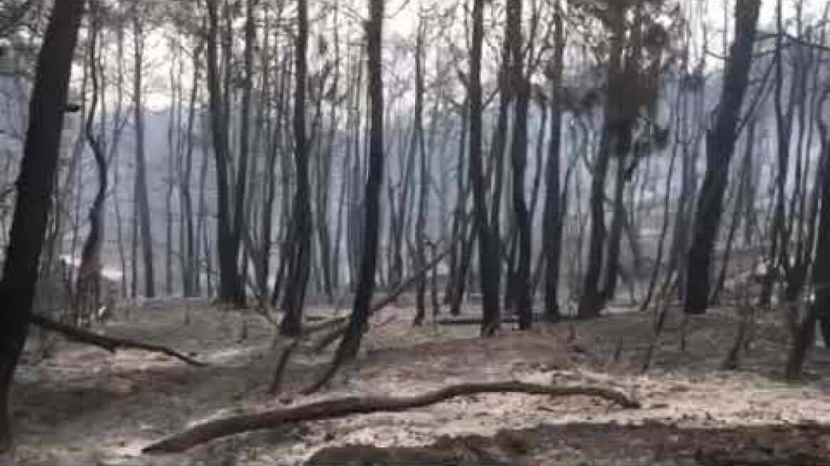 Δροσοπηγή φωτιά η επόμενη μέρα
