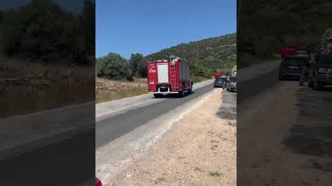 Φωτιά στο Άνω Σούλι Μαραθώνα (1)