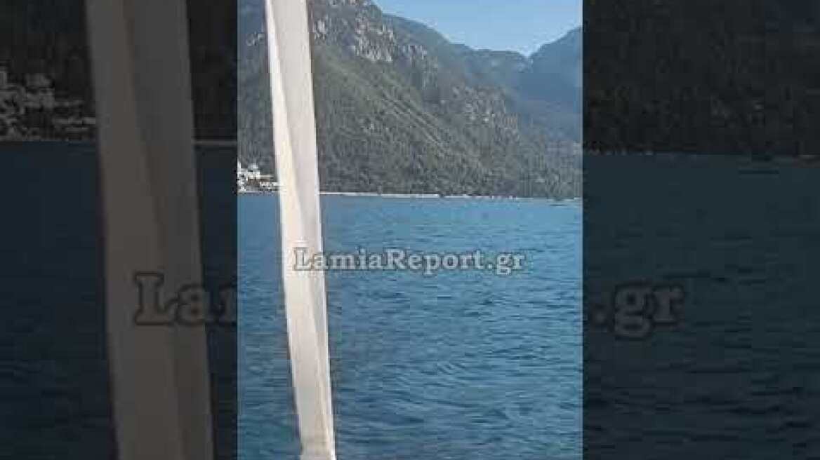 LamiaReport.gr: Η φάλαινα του Μαλιακού στα Καμένα Βούρλα