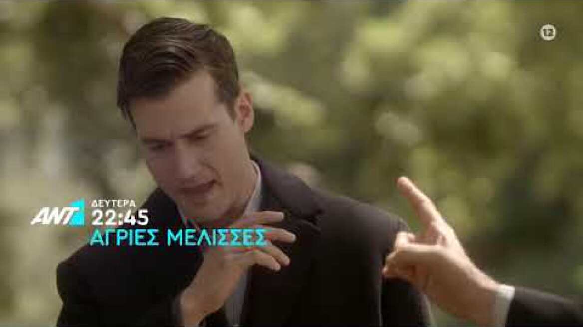 Άγριες Μέλισσες – Δευτέρα 15/06