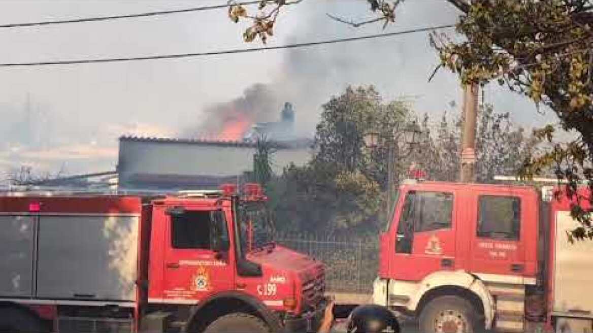 Έπεσε η ένταση του ανέμου στο Κρυονέρι - Καλύτερη η εικόνα της πυρκαγιάς - Μάχη για να μην περάσει η φωτιά στην Πάρνηθα Φωτιά στη Δροσοπηγή (10)