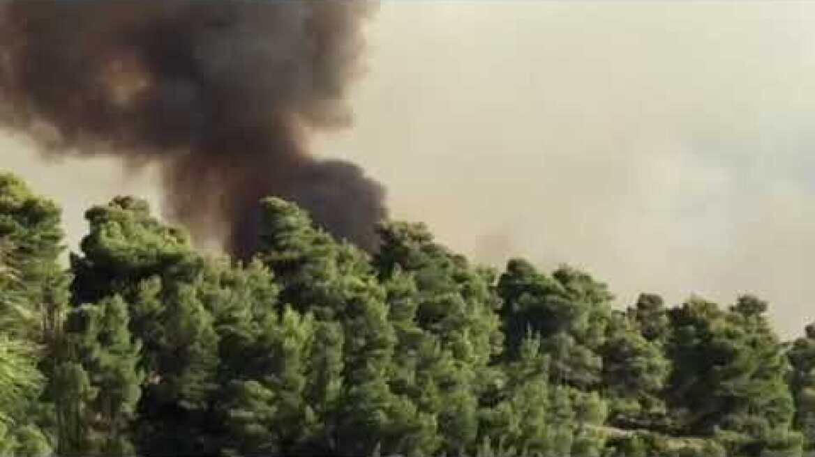 Φωτιά δάσος Αλεποχώρι