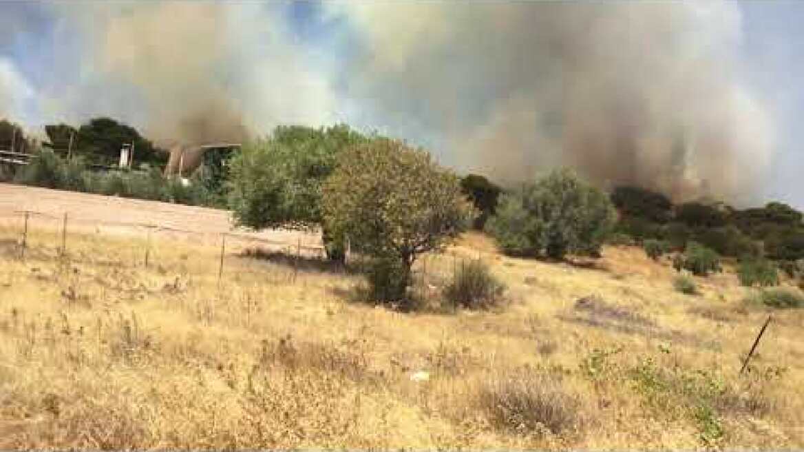 Πυρκαγιά Μαρκάτι - 2