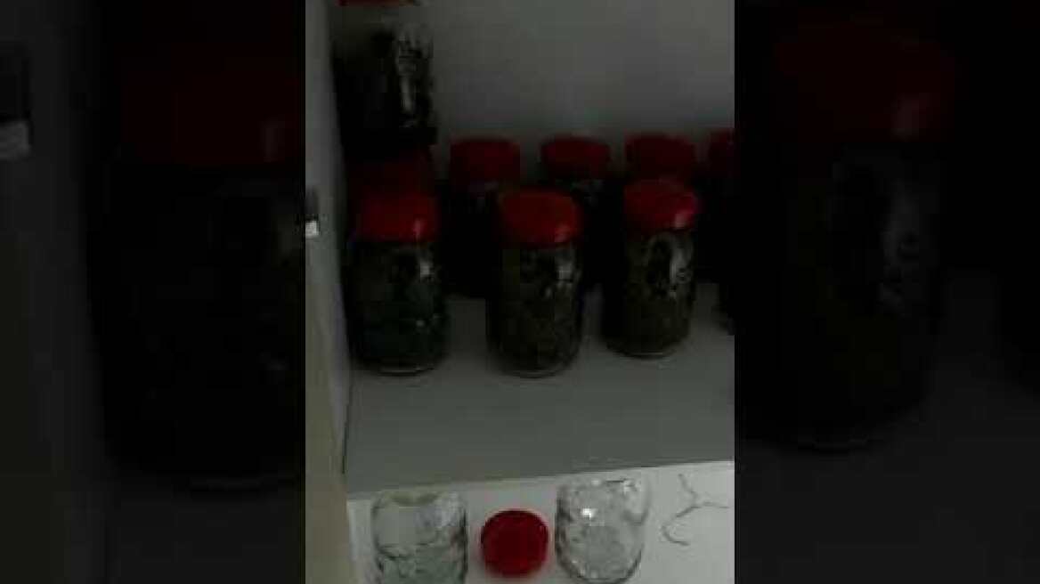 22-06-2021: Εξάρθρωση εγκληματικής οργάνωσης διακίνησης ναρκωτικών σε Αττική και Δωδεκάνησα