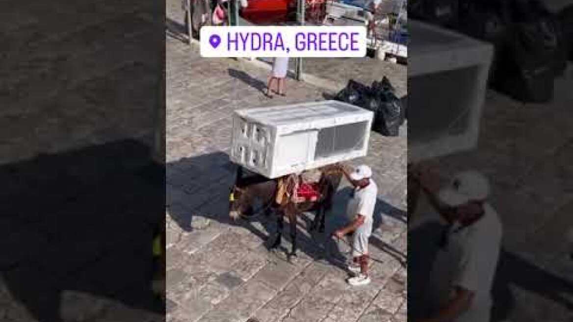 Φορτωμένα γαϊδουράκια στην Ύδρα (1)