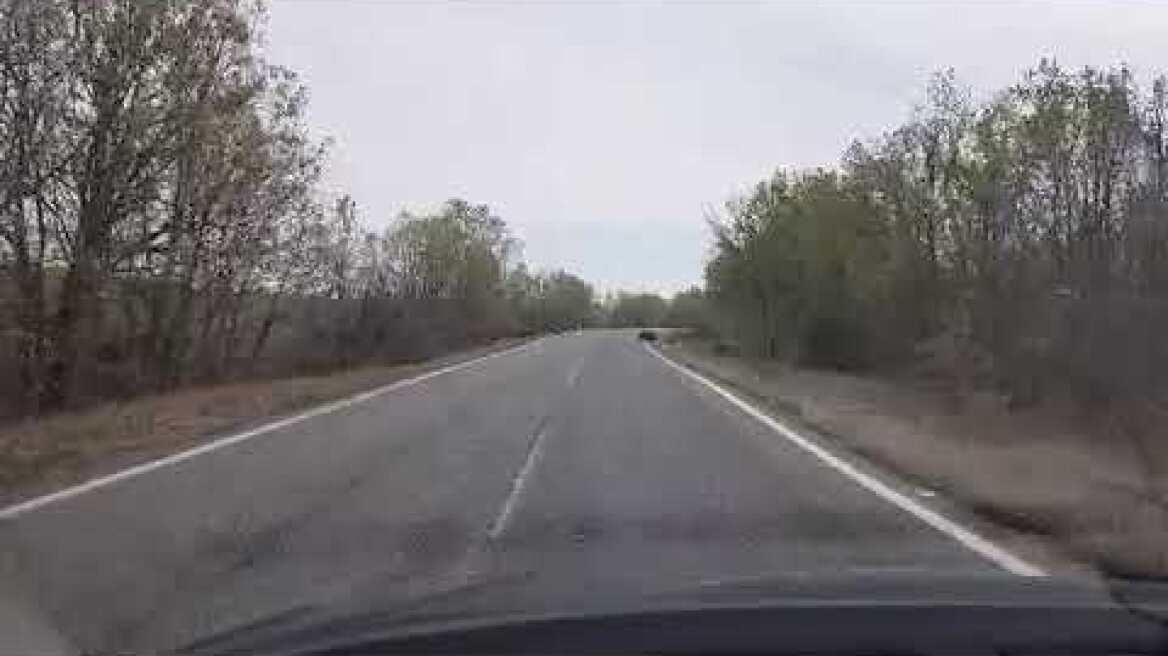 Αγριογούρουνα έξω απ' την Καλαμπάκα 