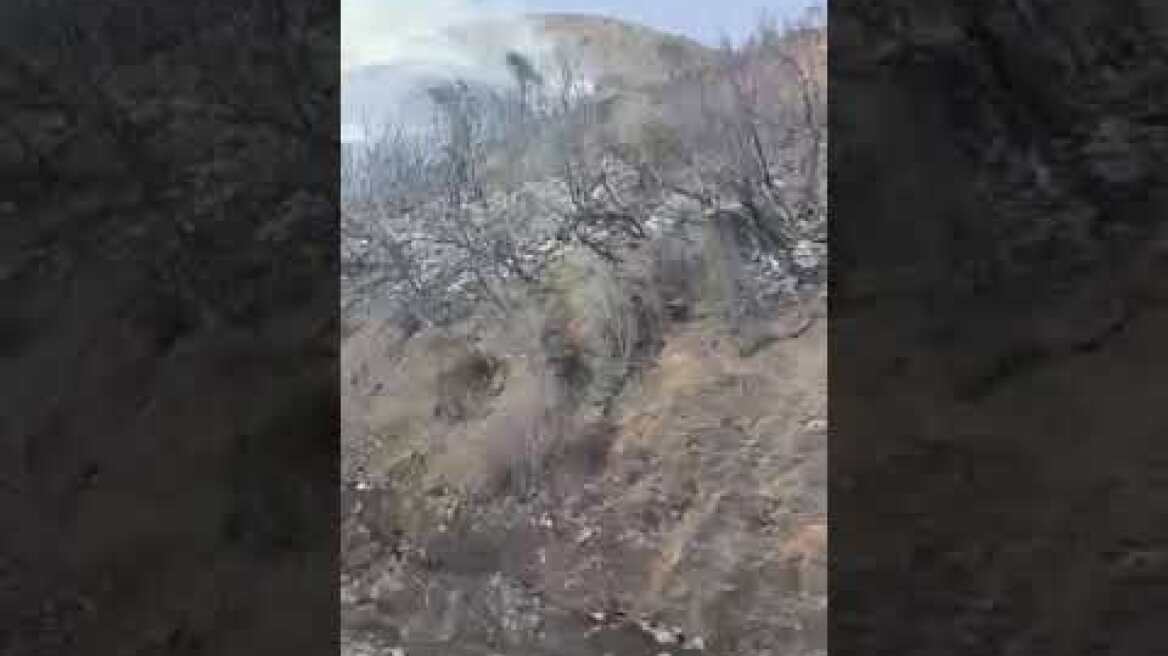 Φωτιά στο Ορθοβούνι Τρικάλων