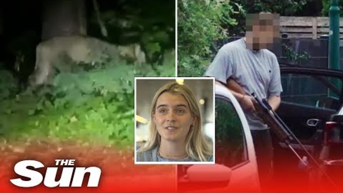 Escaped lion on the loose in Berlin as people warned it could 'attack anyone'