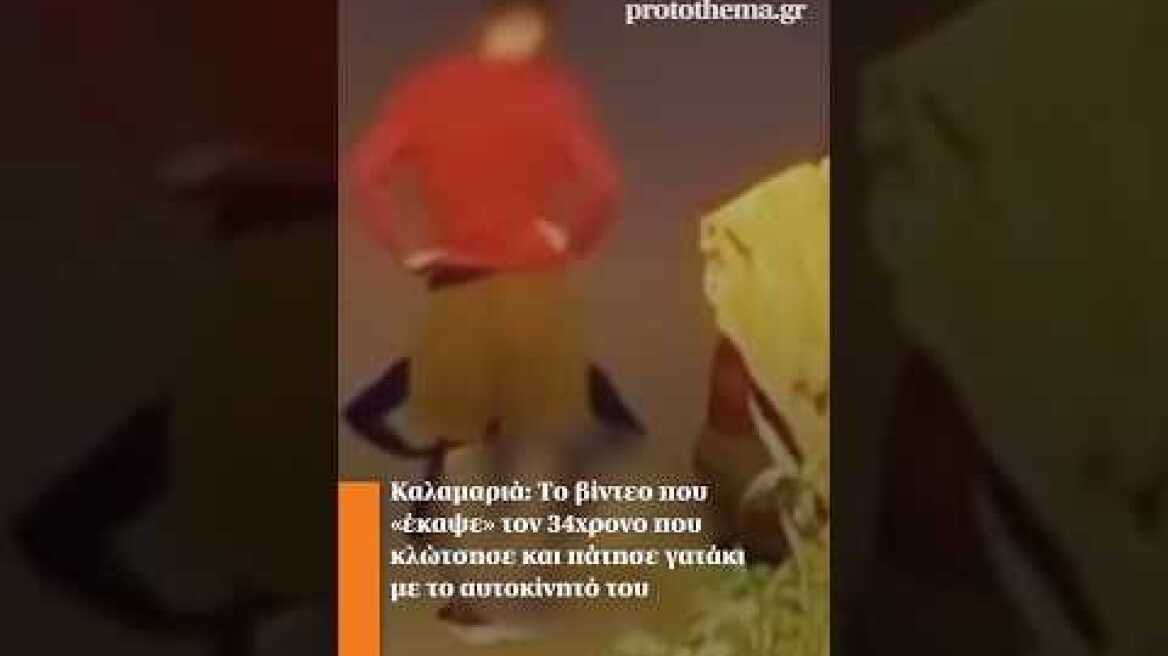 Καλαμαριά: To βίντεο που «έκαψε» τον 34χρονο που κλώτσησε και πάτησε γατάκι με το αυτοκίνητό του