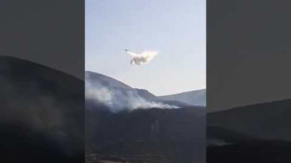 Νέα Στύρα Ευβοίας (4)