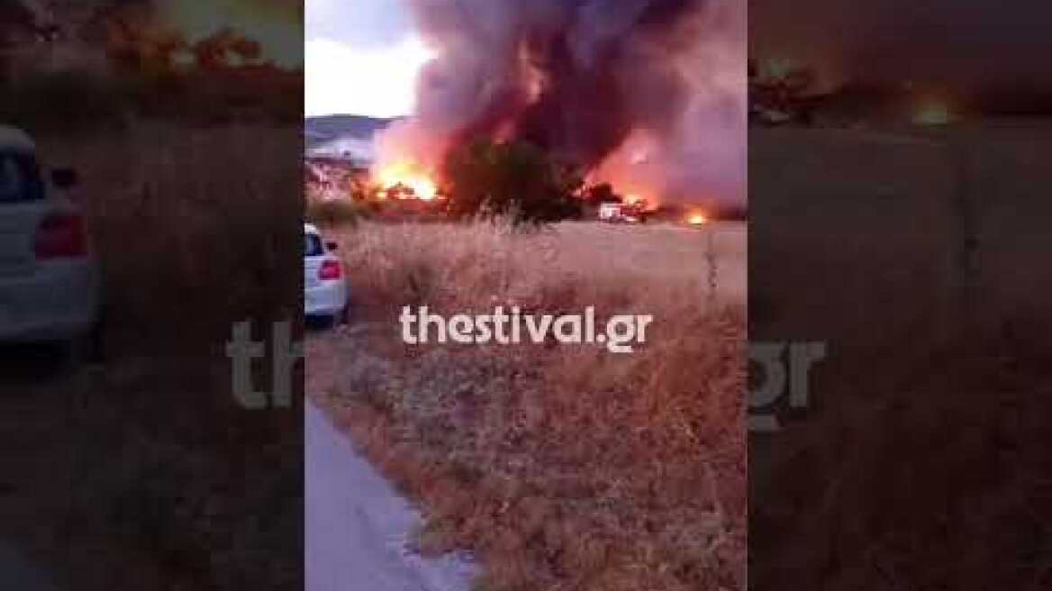 Thestival.gr Μαίνεται η μεγάλη φωτιά στο Ωραιόκαστρο
