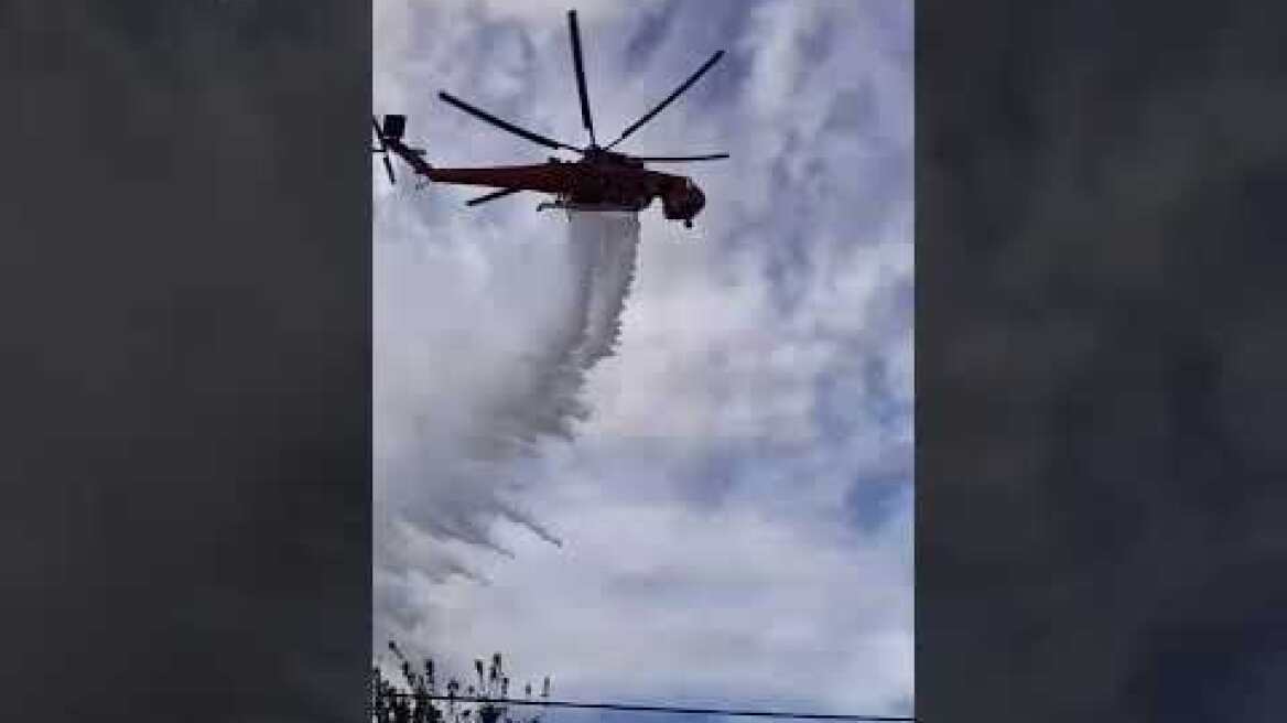Κινητοποίηση  της Πυροσβεστικής στο Πήλιο