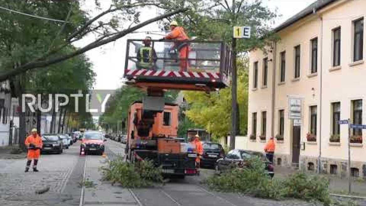 Germany: Fire department remove fallen trees in Leipzig as Storm Ignatz sweeps region